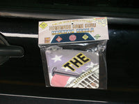 SCREW THE GOVERNMENT!: Magnet/Suction Cup Car Decal